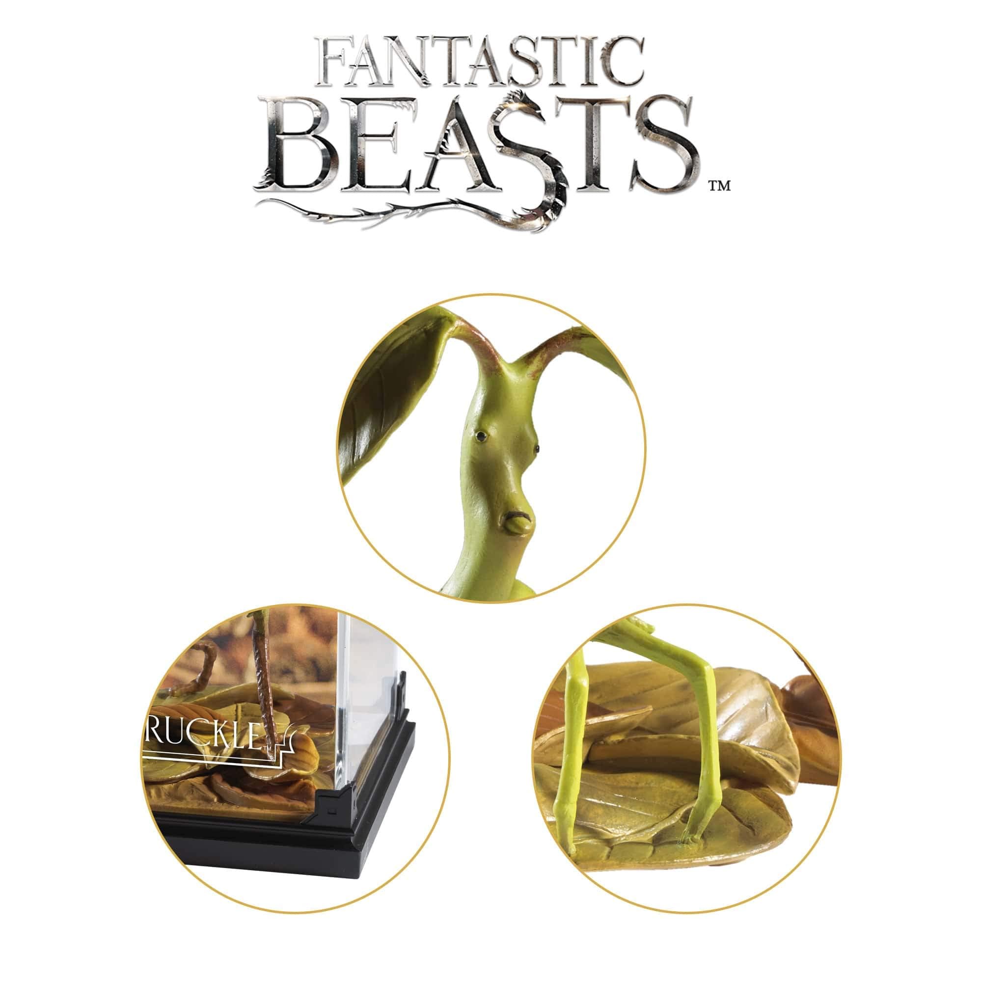 Amazon.com: The Noble Collection Fantastic Beasts Magical